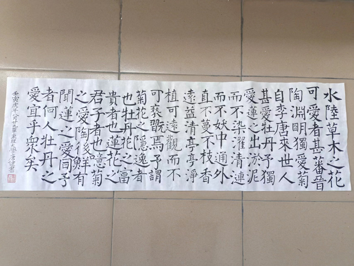 1669167145681068396.jpg 1669167145681068396.jpg